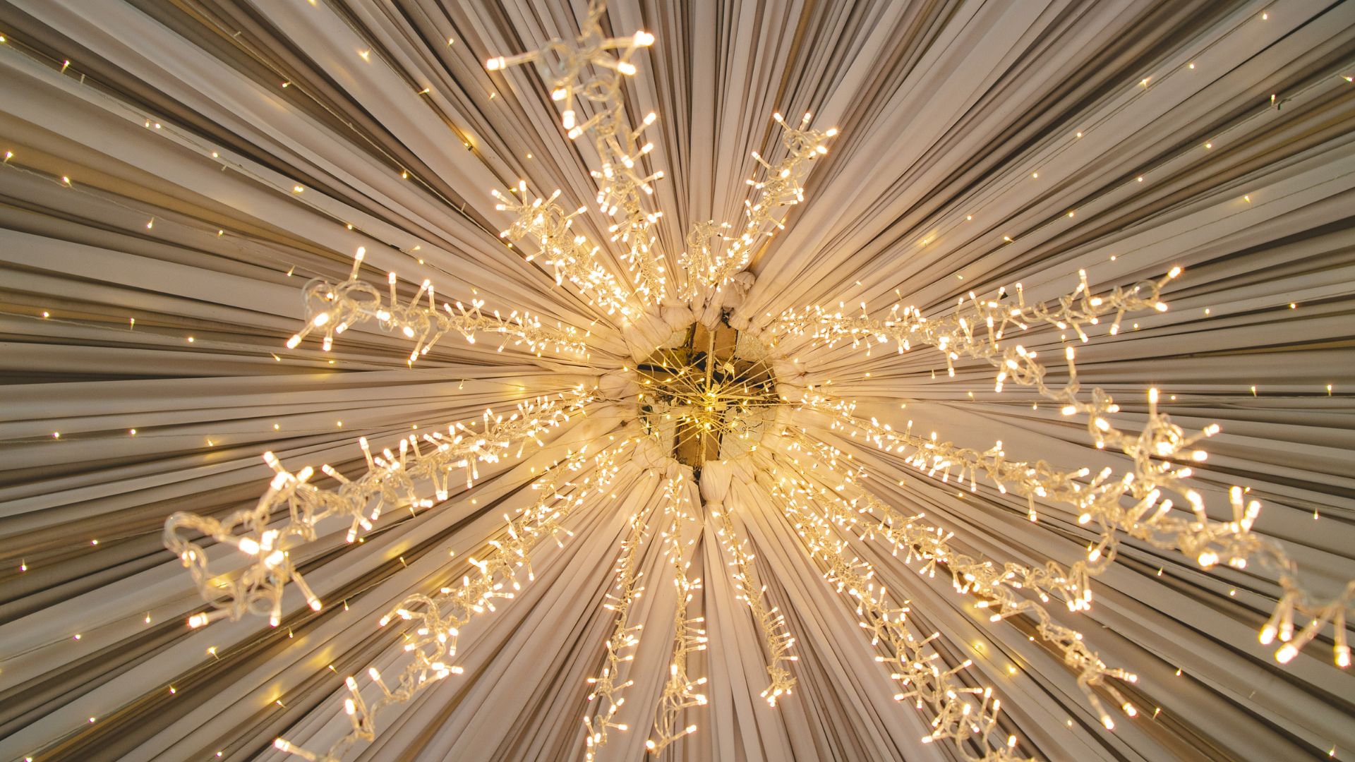 Diseño sin título